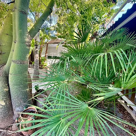 Palm Garden Valencia * Bétera