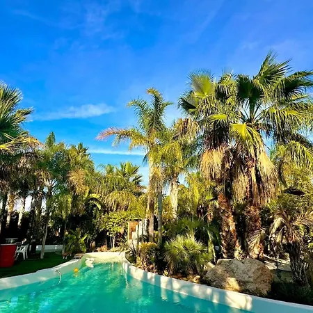 Palm Garden Valencia