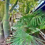 Palm Garden Valencia * 베테라