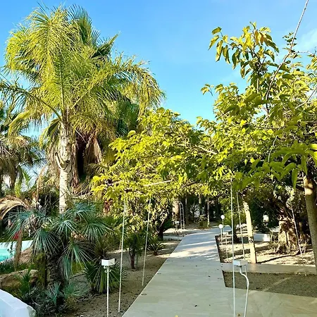 Palm Garden Valencia Villa Bétera
