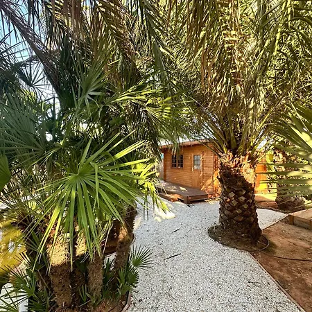 Villa Palm Garden Valencia *