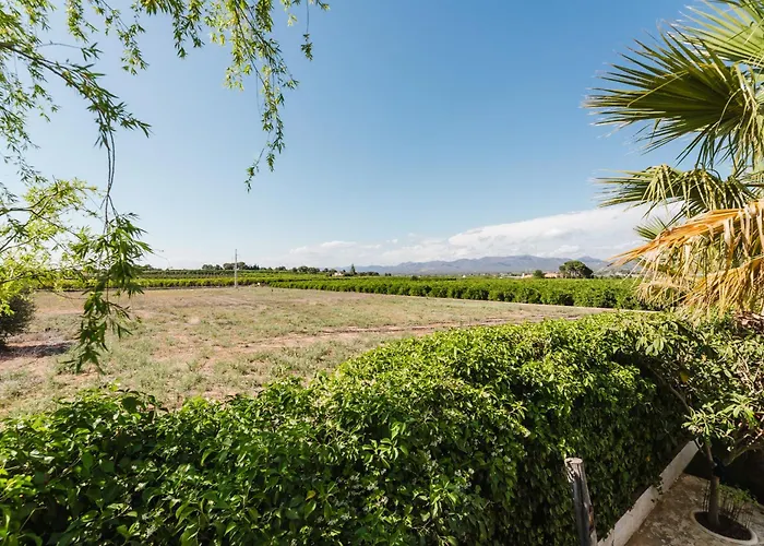 Villa Palm Garden Valencia *