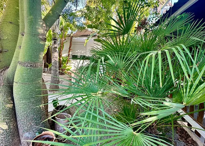 Palm Garden Valencia * Bétera