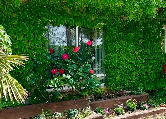 Villa Palm Garden Valencia *